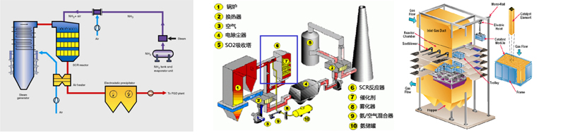 δ(bio)}-7.jpg